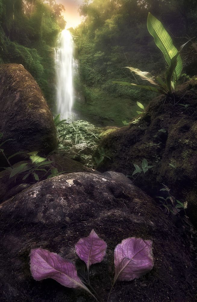 Photograph by Camacho Anto