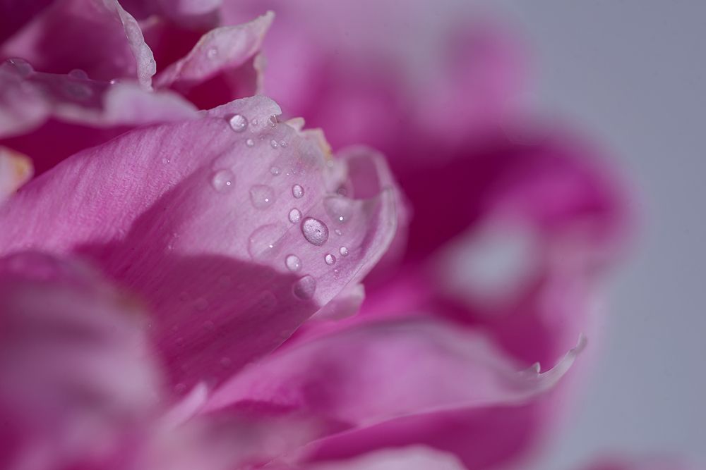 Photograph by Светлана Михайлова