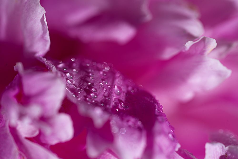 Photograph by Светлана Михайлова