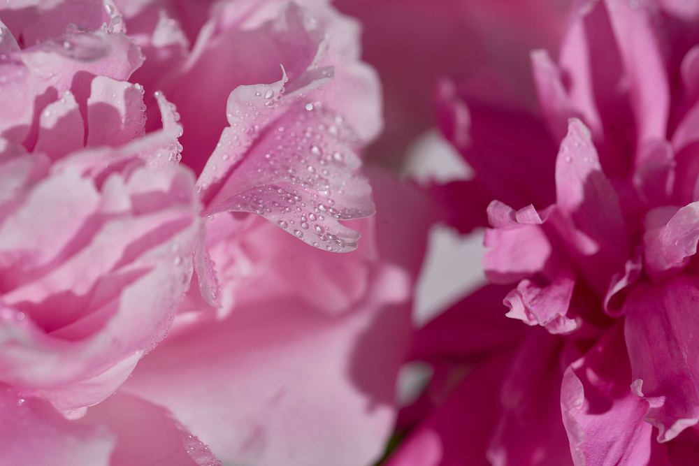 Photograph by Светлана Михайлова