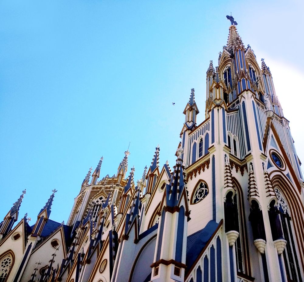 Photograph by Tatiana Barthem