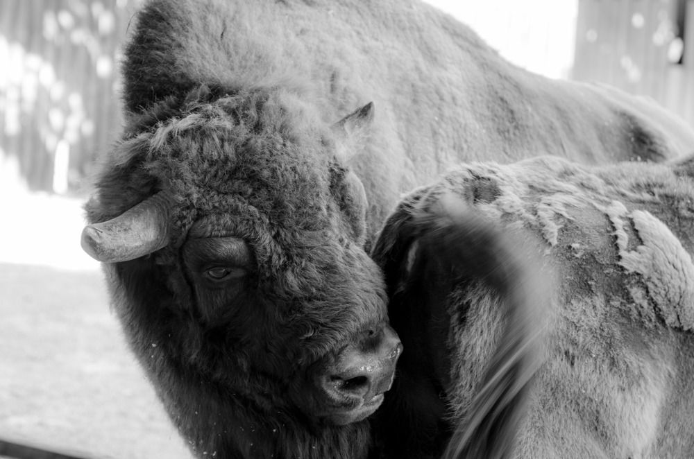 Фотография автора Владимир Брызгунов