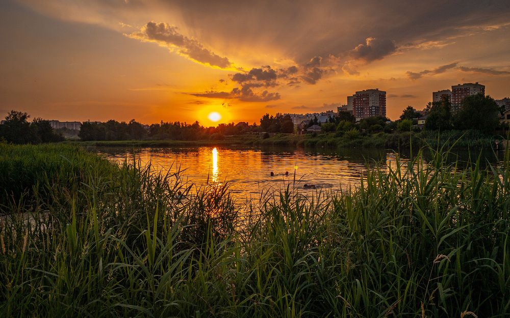 Последние лучики уходящего дня