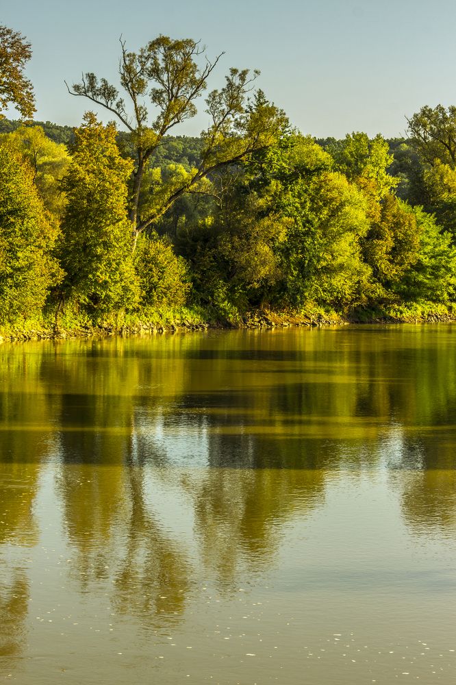 Фотография автора Comșa Bogdan
