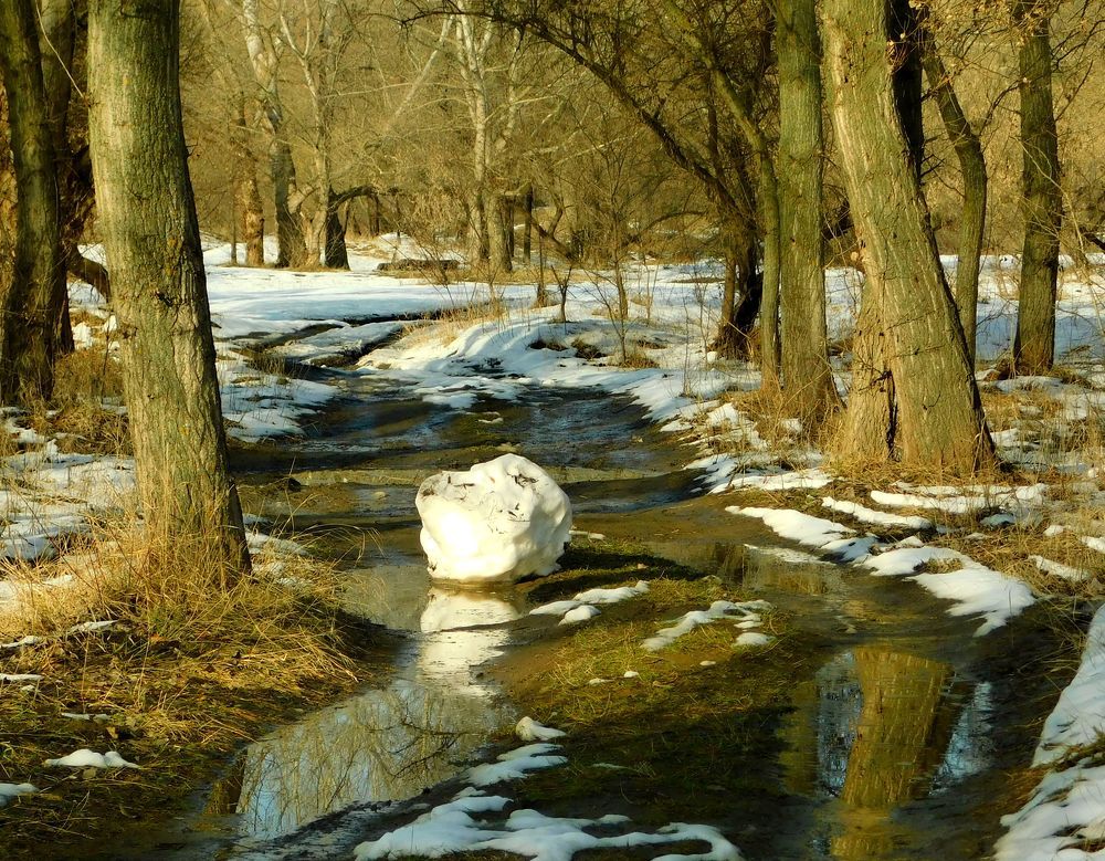 Photograph by Светлана Карпенко