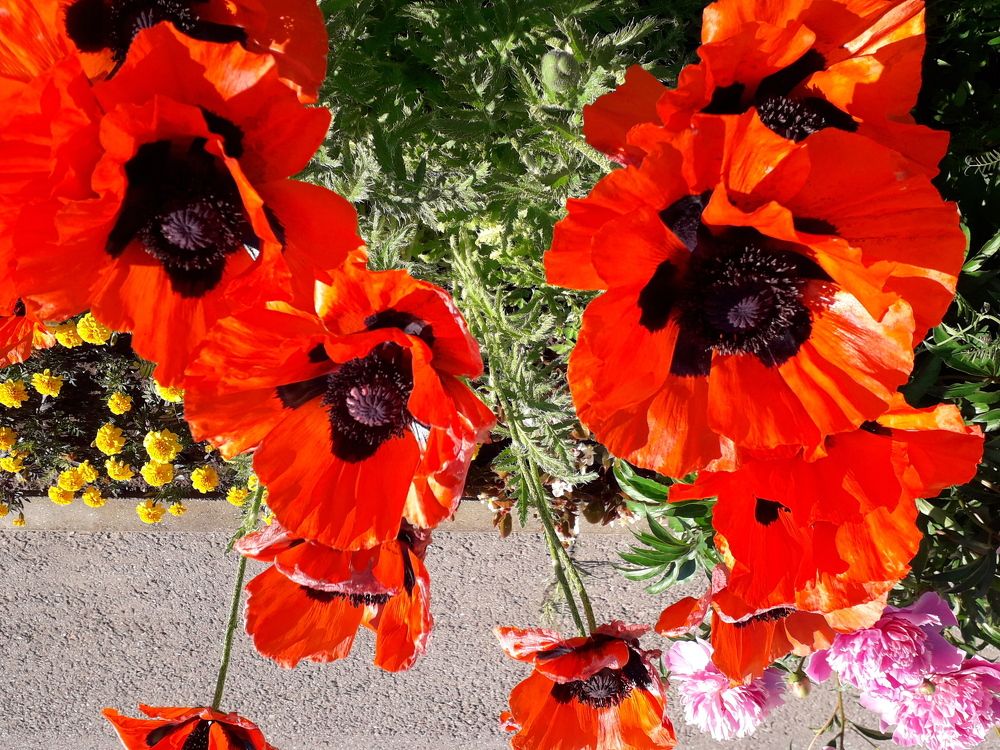 Photograph by Валерий