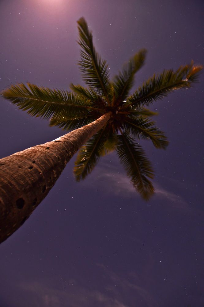 Photograph by Lidia Losada Campaña