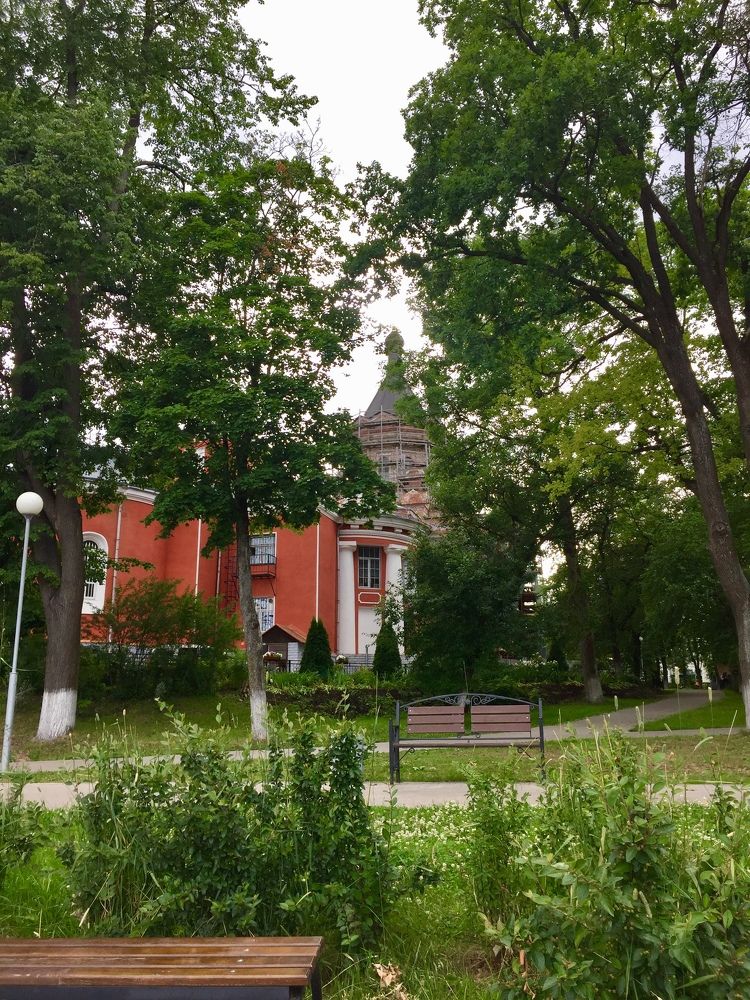 Фотография автора Елена Лицис