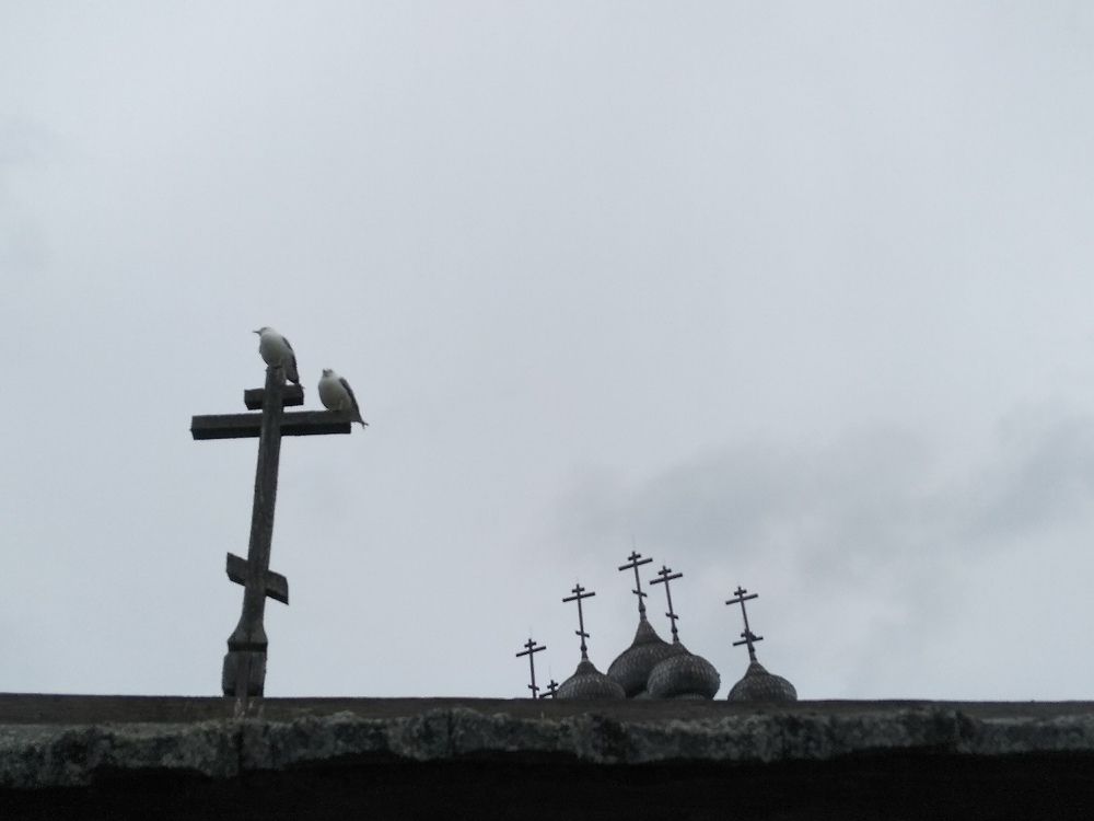 Photograph by Татьяна Рябова