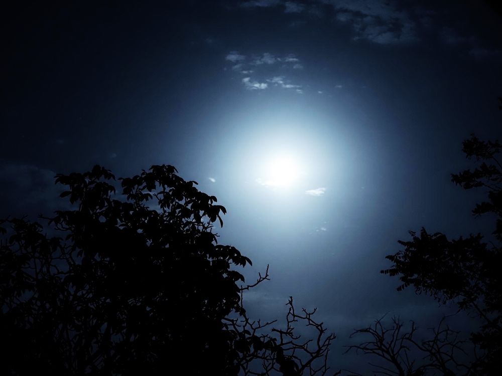 Photograph by Сергей Борисов