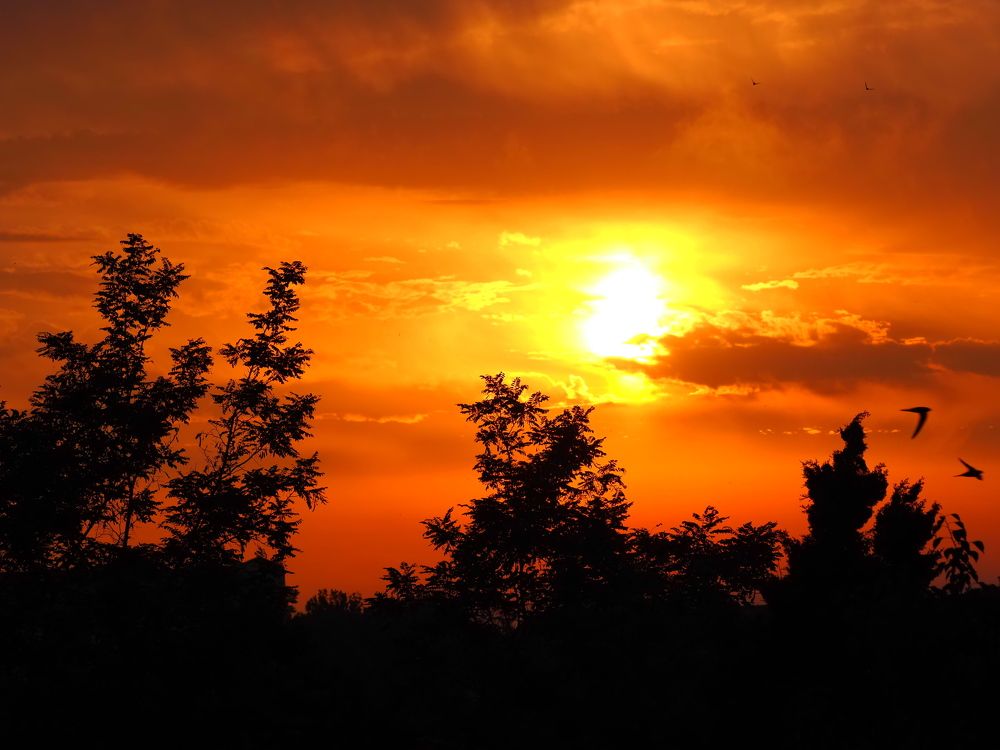 Photograph by Сергей Борисов