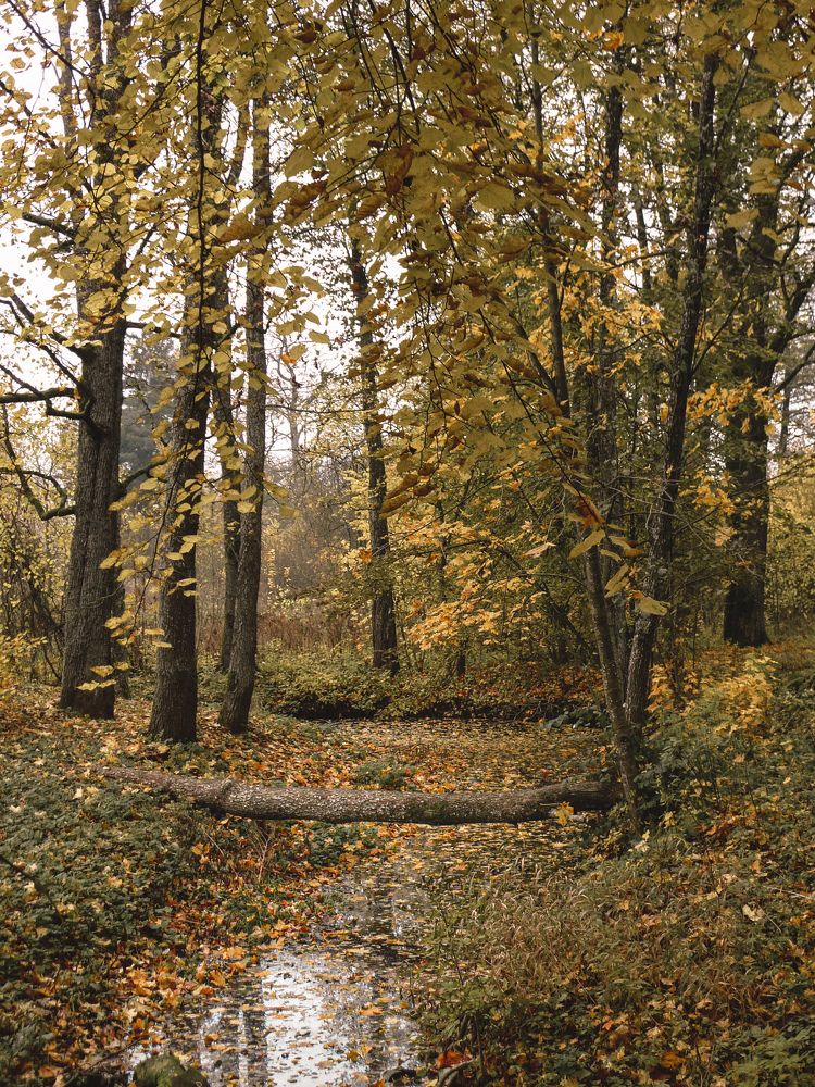 Photograph by Ольга Еженевская