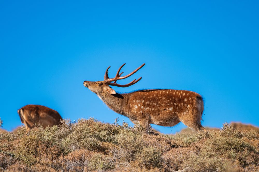 Photograph by Alaa Seif Eddine