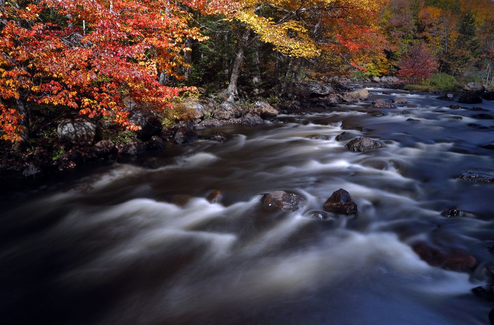 Photograph by Roman Barisev