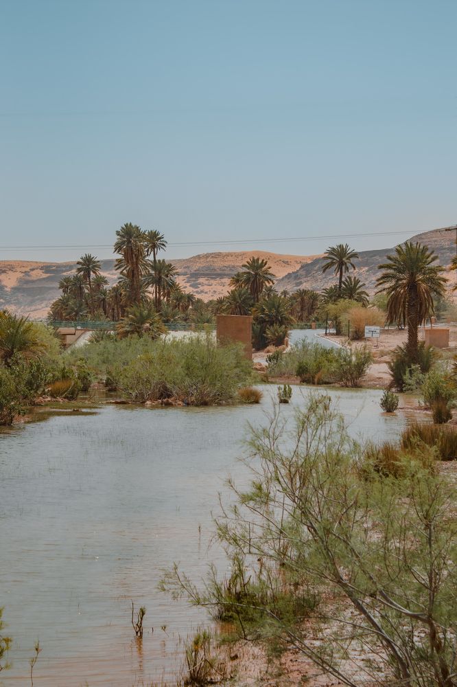 Photograph by Mohamed amine Benkalou