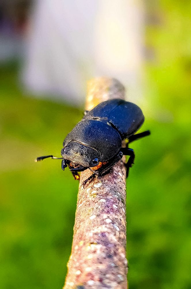 Photograph by Луценко Роман