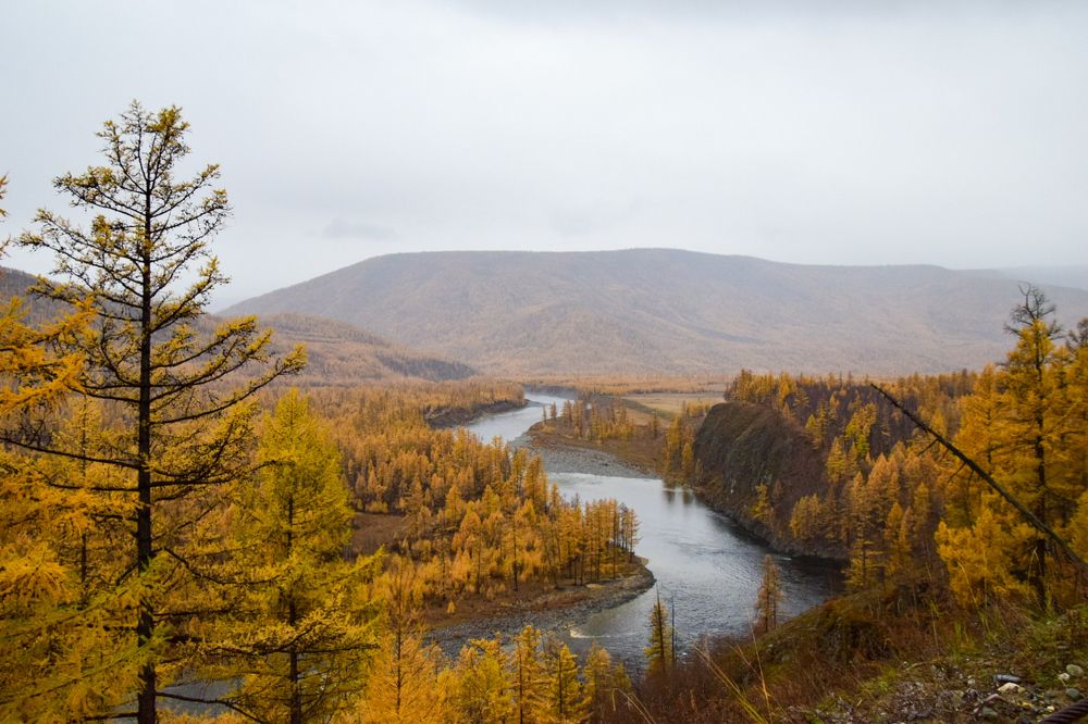 Photograph by Марина Корреа Ластра