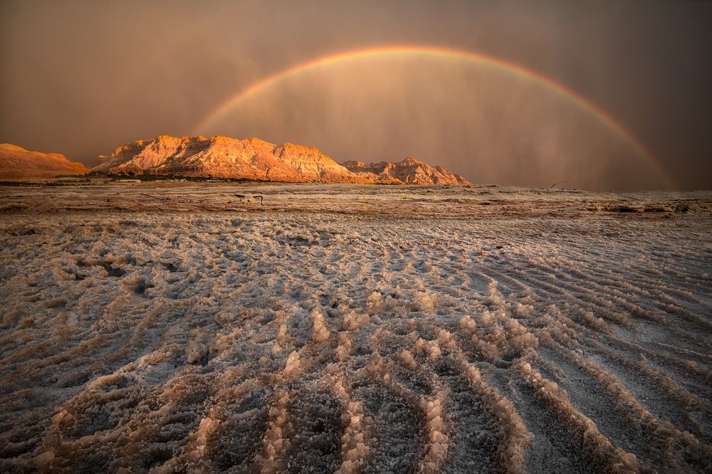 Photograph by Idan Livni