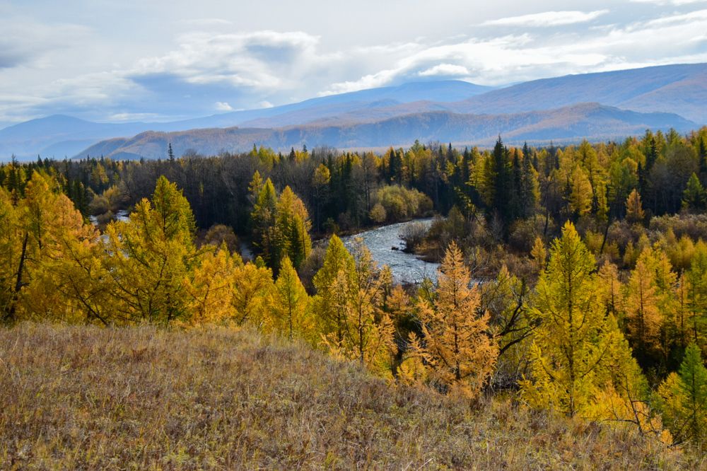 Photograph by Марина Корреа Ластра