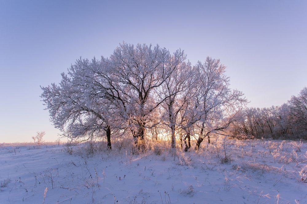 Photograph by Максим Филипов