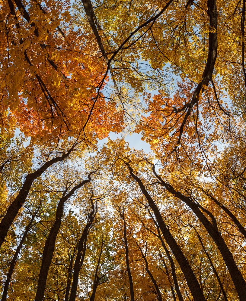 Photograph by Максим Филипов