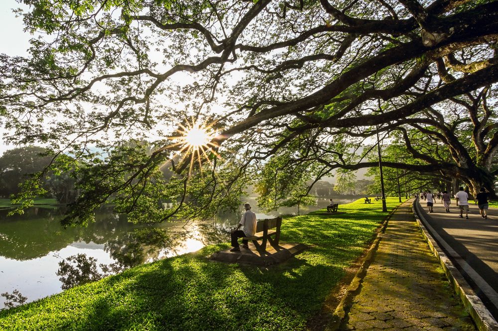 Photograph by SOO KAI OON