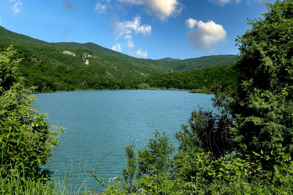 Photograph by EKATERINA ROMANYUK