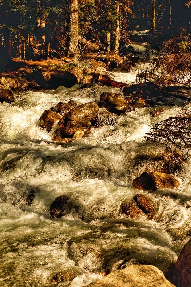 Photograph by Ирина Шилина