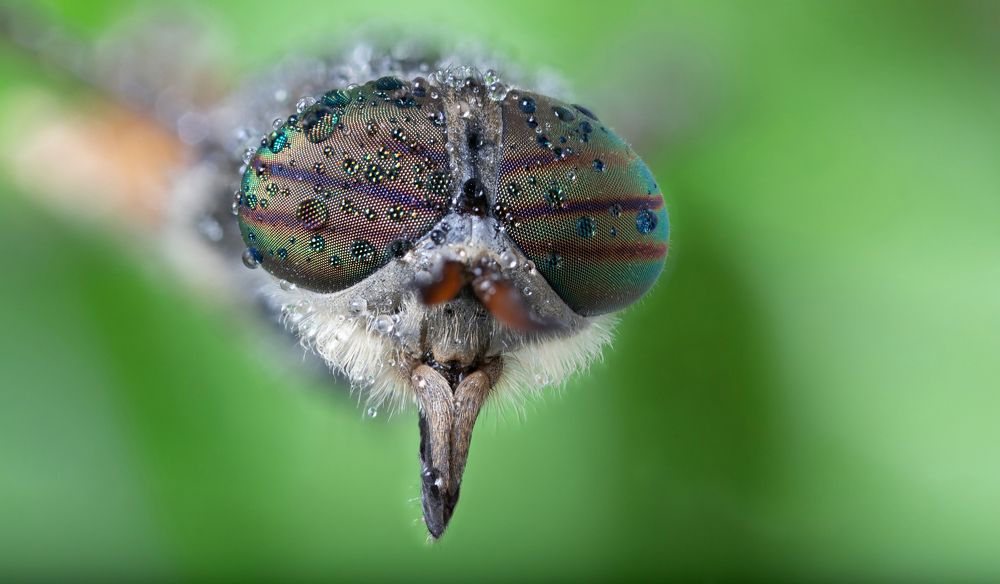 Photograph by Сергей Романченко