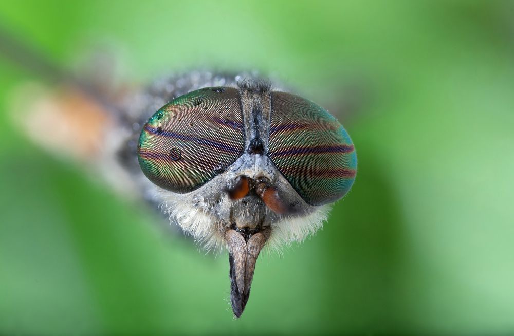 Photograph by Сергей Романченко