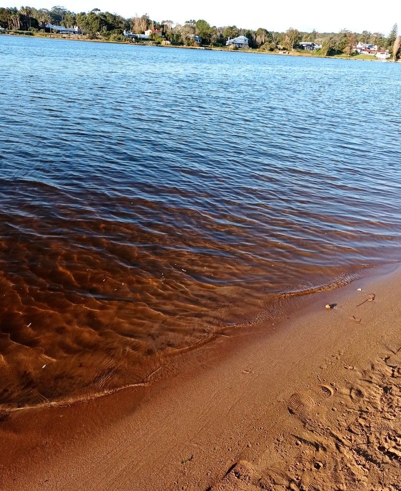 Photograph by Irene Gordillo