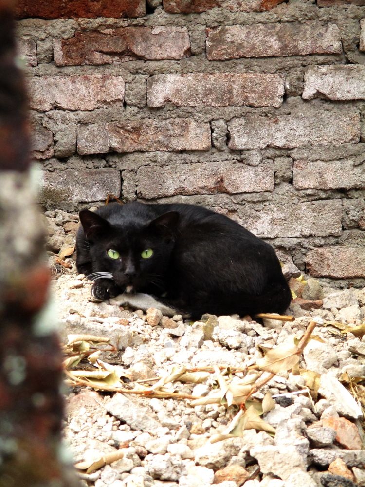 Photograph by Hani Septia Rahmi