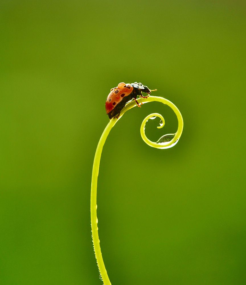 После дождя