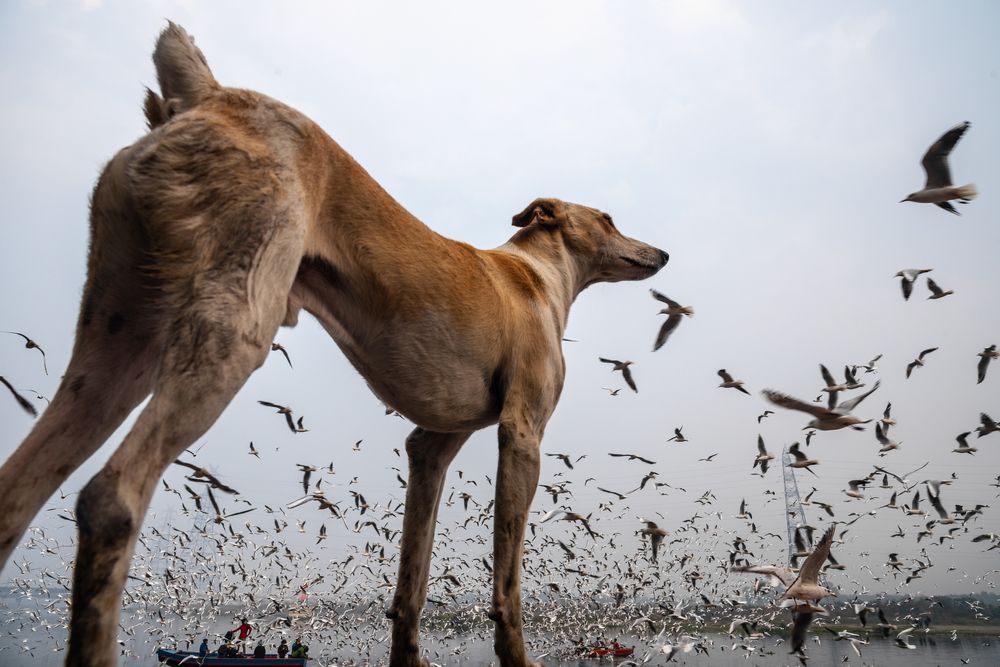 Photograph by Chetan Verma