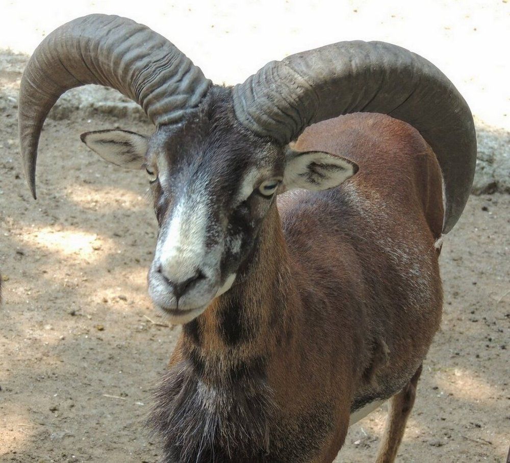 Photograph by Юрий Тихонов