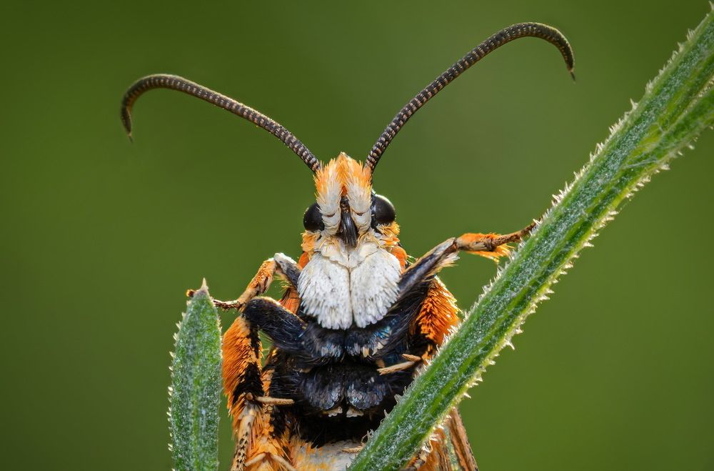 Photograph by Андрей Зимин