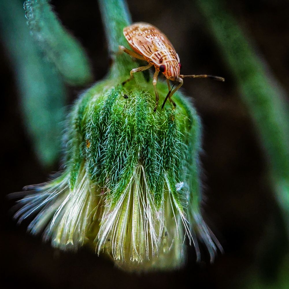 Photograph by Vinay Patangay