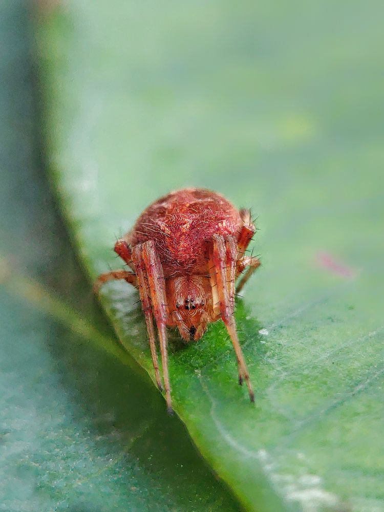 Photograph by Vinay Patangay