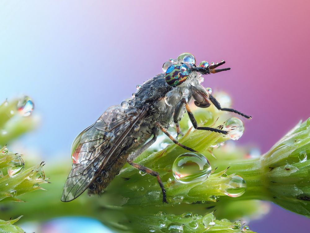 Photograph by Евгений Лукашук