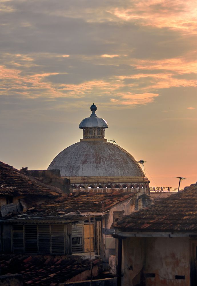 Photograph by Ryanny Torna