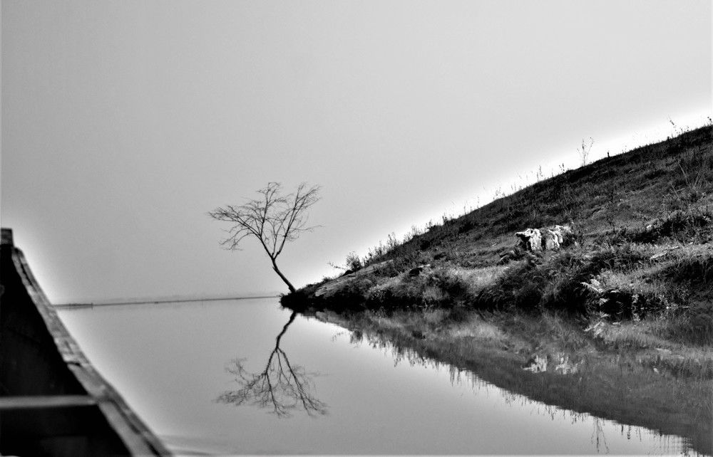 Photograph by Kushal Sharma