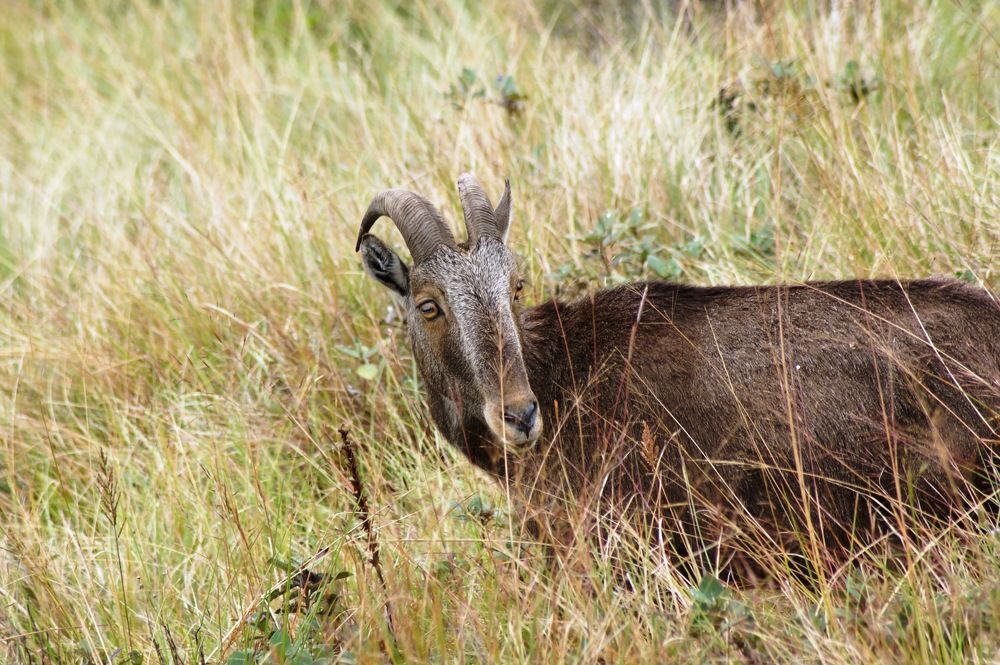 Photograph by Ambewadikar sourabh