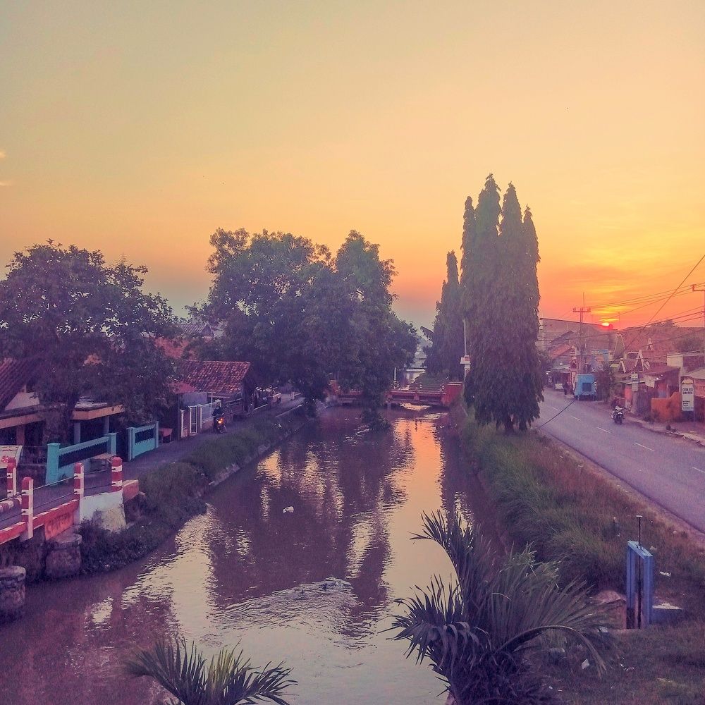 Photo #6248519