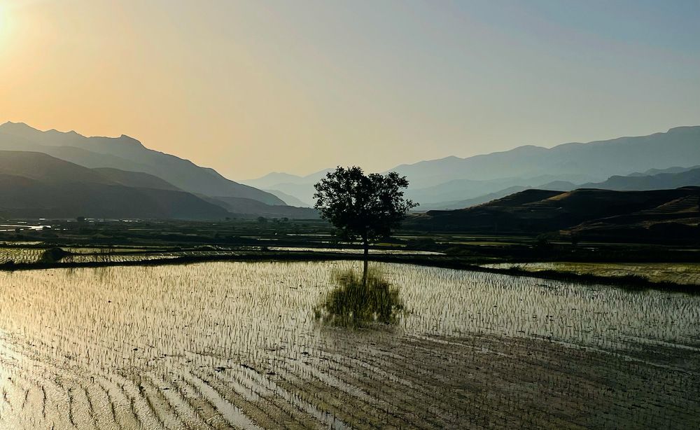 Photograph by samaneh jamali