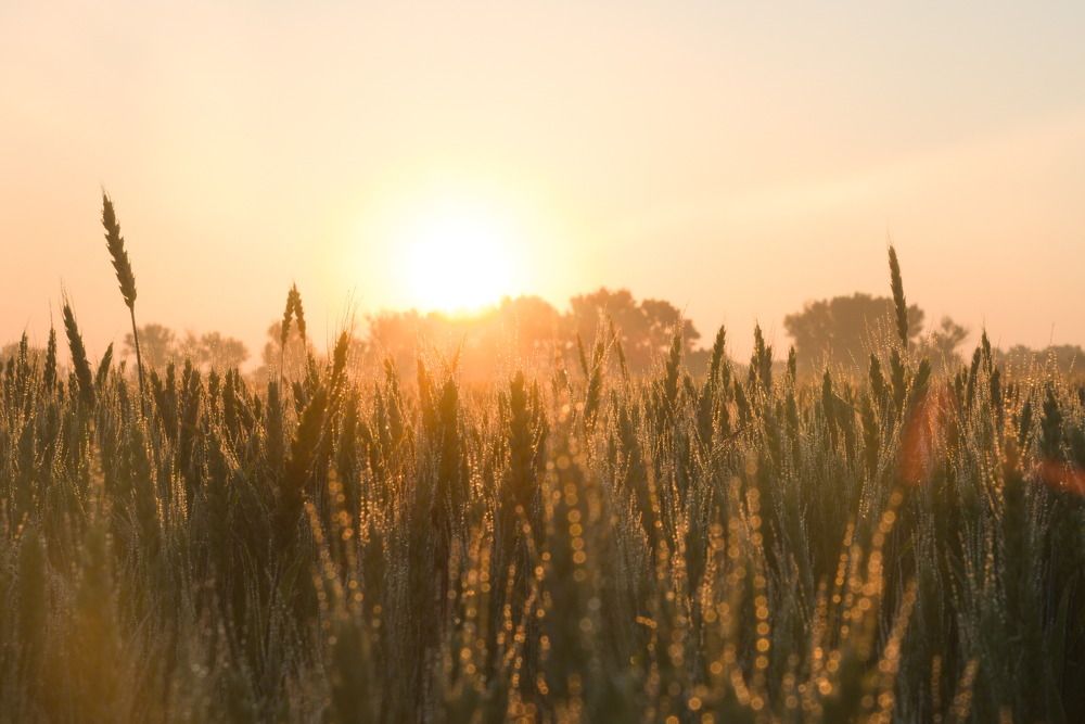 Photograph by Башлаев Константин