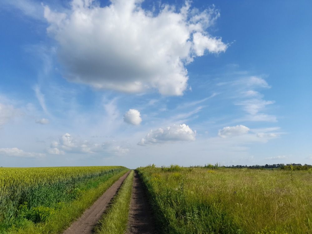 Июньская жара