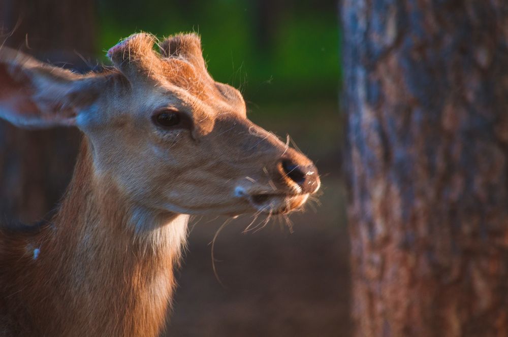 Photograph by Вадим Басов