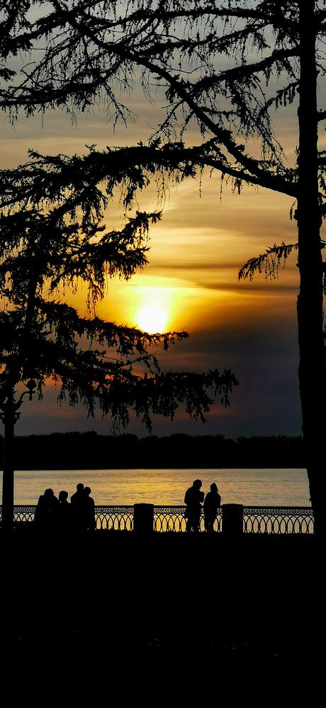 Созерцание.