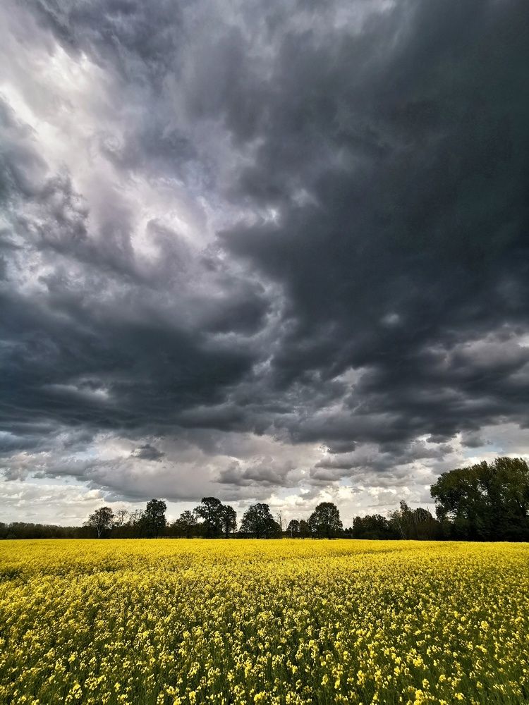 Photograph by Olga Weinberger