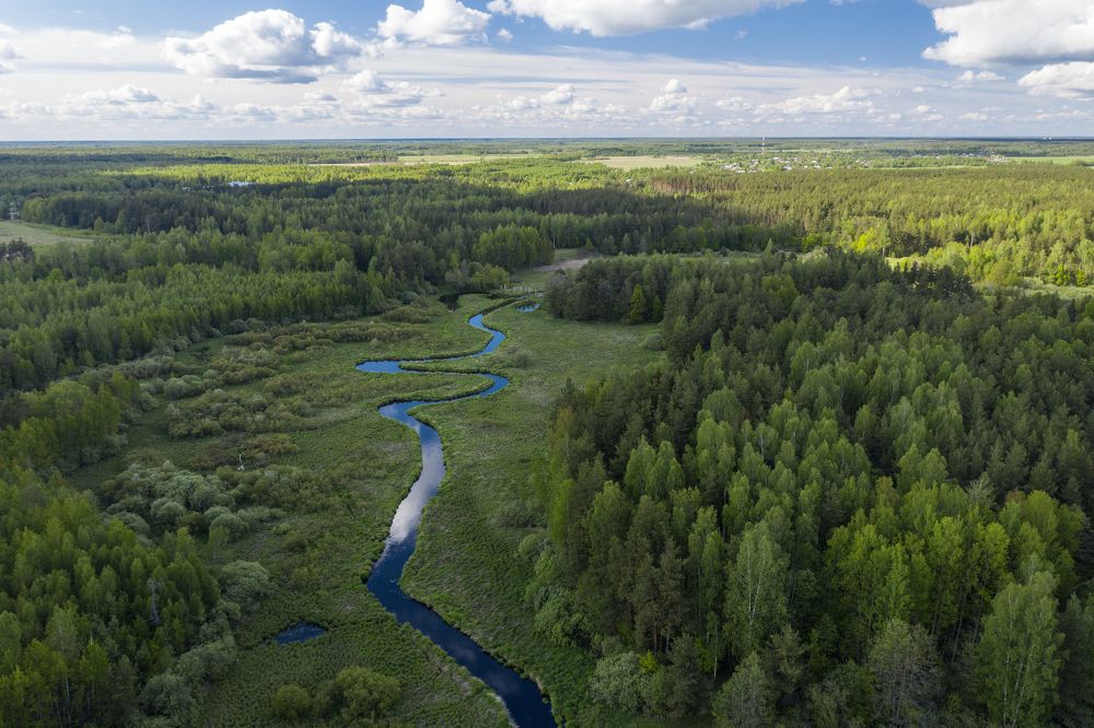 Photograph by Баландин Дмитрий